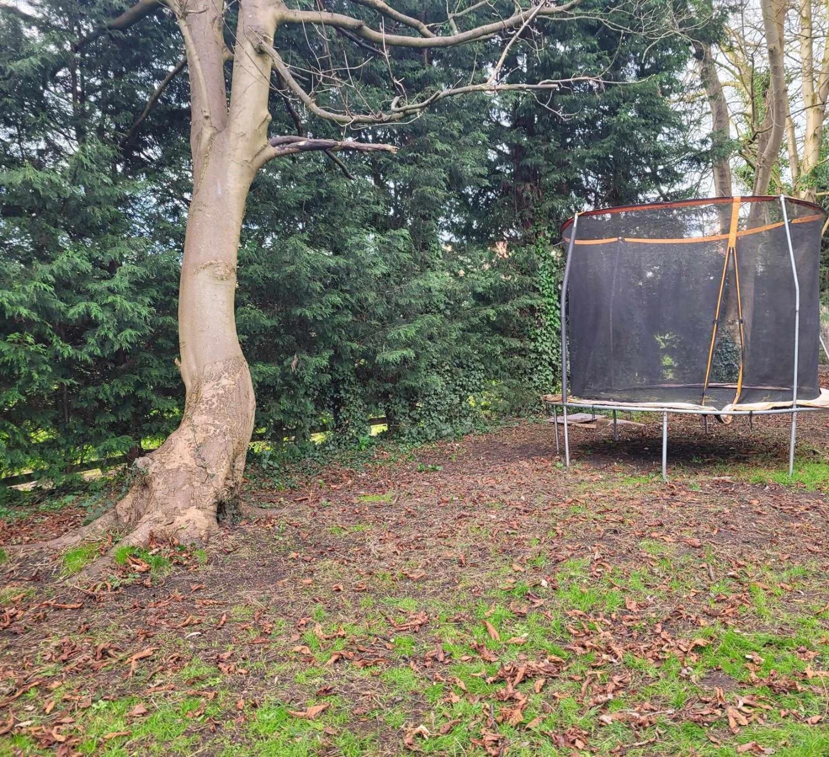 17Th-Century One Bed Studio With Parking & Garden! Elkesley エクステリア 写真